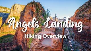 Angels Landing Hike in Zion National Park | Full Route Overview