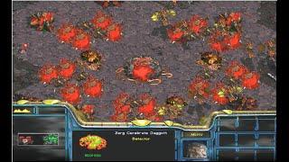 Starcraft brood war, new Overmind appeared.