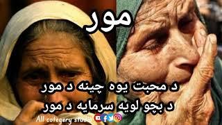 pashto new nazam 2022 da mor sara mina|motherlove|poetry