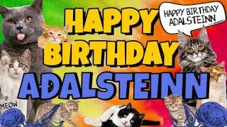 Happy Birthday Aðalsteinn! Crazy Cats Say Happy Birthday Aðalsteinn (Very Funny)