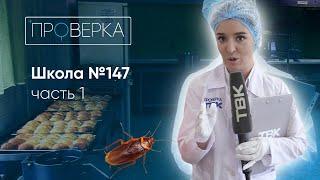 «Проверка»: школа №147 на Мате Залки в Красноярске