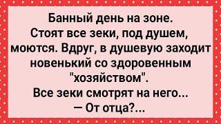 Банный День на Зоне и Зек с Большим Хозяйством! Сборник Свежих Анекдотов! Юмор!