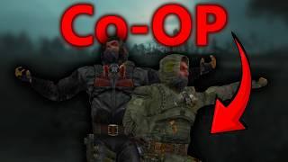 S.T.A.L.K.E.R Co-Op Is Fun!