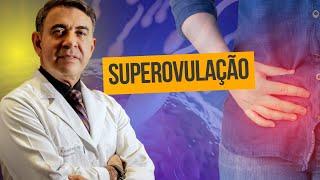 SUPEROVULAÇÃO: COMO FUNCIONA E QUANDO ACONTECE - [ENTENDA SEU CICLO DA FERTILIDADE]