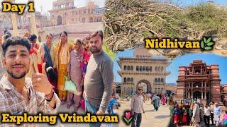 Vrindavan One Day Tour 2025 || How to Explore Vrindavan info By @Oyee_Manni