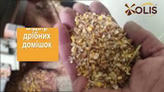 Очищення зерна кукурудзи на ситовому сепараторі ПСО-100 (ТОВ "ОЛИС", OLIS). Grain separator PSO-100