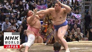 GRAND SUMO: Day 7 of the November 2024 Tournament - GRAND SUMO Highlights