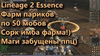 Топ кач на париках по 50 мобов Lineage 2 Essence (Lineage II Aden) Сорк парики крума Япония 40+ лвл