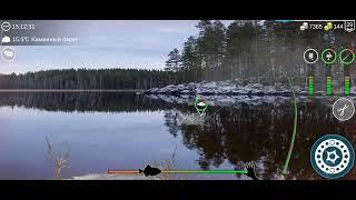 Как и где ловить#толстолобик#my fishing world