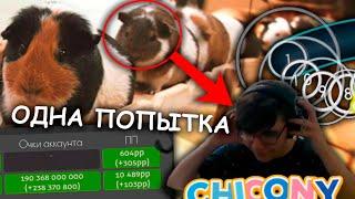 МОЖЕТ ЛИ ЧИКОНИ ФКАШНУТЬ GUINEA PIG BRIDGE? | OSU!CIS WEEKLY #17