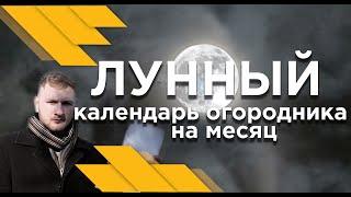 Календарь ухода за растениями на месяц. Лунный календарь садовода на Январь 2021.