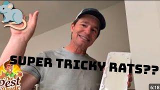 The Pest Dude reviews JT Eaton rat glue boards