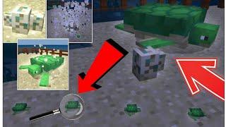 МОМЕНТ ВЫЛУПЛЕНИЯ ЧЕРЕПАШОНКА В MINECRAFT PE 1.5.0.4 | РОЖДЕНИЕ ЧЕРЕПАХИ И ЕЁ ЖИЗНЬ