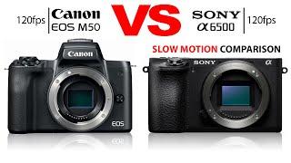 Canon M50 VS SONY A6500 120fps Slow Motion Test / Comparison