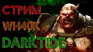 Warhammer 40.000 Darktide Изувер Проповедник #NUGAMAN