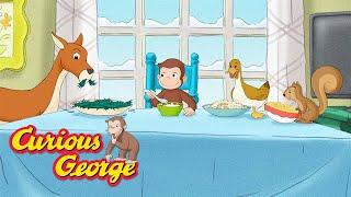 Curious George  George's best animal friends  Kids Cartoon  Kids Movies  Videos for Kids