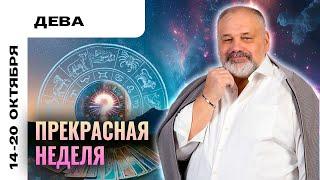 ДЕВА: ПОД ЗАЩИТОЙ ВЫСШИХ СИЛ 14-20 ОКТЯБРЯ | ТАРО ПРОГНОЗ ОТ СЕРГЕЯ САВЧЕНКО