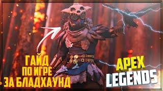 ГАЙД ПО ИГРЕ ЗА БЛАДХАУНД В APEX LEGENDS (АПЕКС ЛЕГЕНДС ГАЙД) СОВЕТЫ