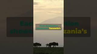 Discover Tanzania - Top 5 Must-Visit Destinations! #travel #adventure #wildlife #explore