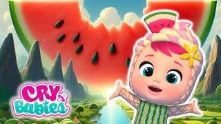 TUTTI FRUTTI Full Season 3 Complete | Full Episodes MAGIC TEARS | Kitoons Cartoons for Kids