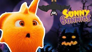 Halloween Videos For Kids |  Sunny Bunnies CELEBRATE HALLOWEEN | Funny Videos For Kids