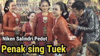 Sinden Viral lo Iki..Full Ngakak bersama Cak Percil dan Niken Salindri