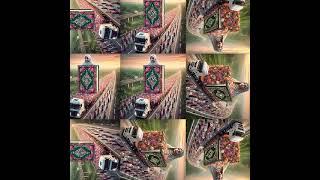 #islamicvideo #bats #is