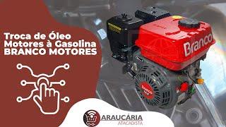 Cuidados Básicos - Troca de Óleo Motores à Gasolina