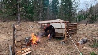 Disappear into the Wild Forest: My 5 Steps to Create a Comfortable Shelter for Survival