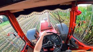 Cab View | Case IH 1455 XL | Mais Silage