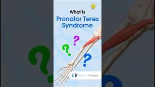 Pronator Teres Syndrome #anatomy #physicaltherapy #physiotherapy #pronatorteres