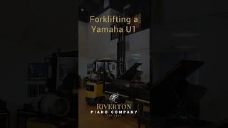 Forklifting a 500lb Yamaha U1 | Riverton Piano Company #Yamaha #piano #U1
