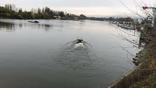 Neulich am Rhein 