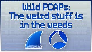 05: Wild PCAPs: The weird stuff is in the weeds | Learn Wireshark @ SharkFest'22 EUROPE