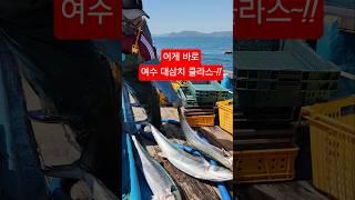 선장 텐션을 급 출발시킨 정체는?