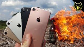 Will Molotov Cocktail Destroy an iPhone 7?