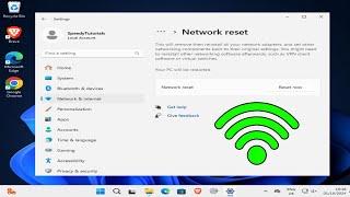 How To Fix Please Check Your Network Connection Error in Windows 11