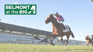 Talking Horses - June 14, 2025