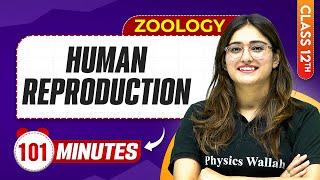 Human Reproduction in 100 Minutes || Zoology | Mind Map Series for Class 12th