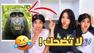 اتحداك ما تضحك بالفيديو هذا !!!  عقاب لخسران شفا