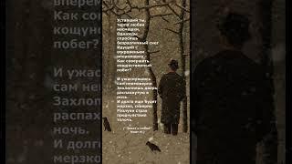 #поэзия #стихи #poetry