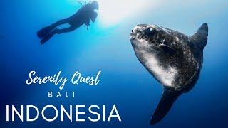 ETERNAL BALI︱WORLD-CLASS SCUBA DIVING︱INDONESIA ︱BALI SEA / INDIAN OCEAN ︱ 4K VIDEO