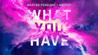 Wasted Penguinz & Astrak - What You Have (Official Hardstyle Video)