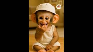 baby monkey give kiss