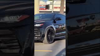 Nero Lamborghini Urus Car #youtubeshorts #shorts #lamborghini #lamborghiniurus #lamborghinicar