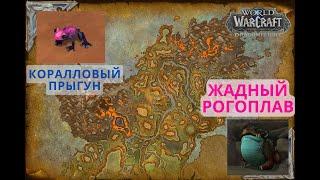 Жадный рогоплав, получение Коралловый прыгун в World of Warcraft Dragonflight