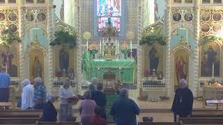 Christ the Saviour Orthodox Cathedral Service 2025-06-09