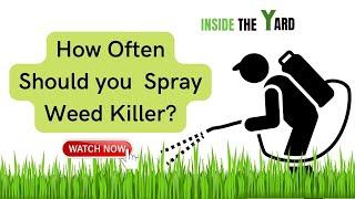 How Often Should  You Spray Weed Killer?