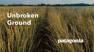 Unbroken Ground | A New Old Way to Grow Food | Patagonia