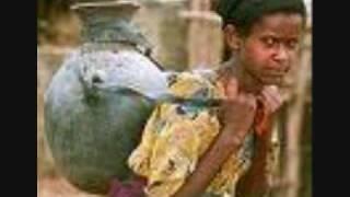 Ethiopian Muslims.Census 2007